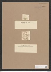 Diatoma anceps (Ehr.) Kirchm. (de-Toni-Nr.: Genus 58, Species 2541) Zeichnungen Sammlung Grunow Nr. 5094 (NHMW-BOT-W0373372)